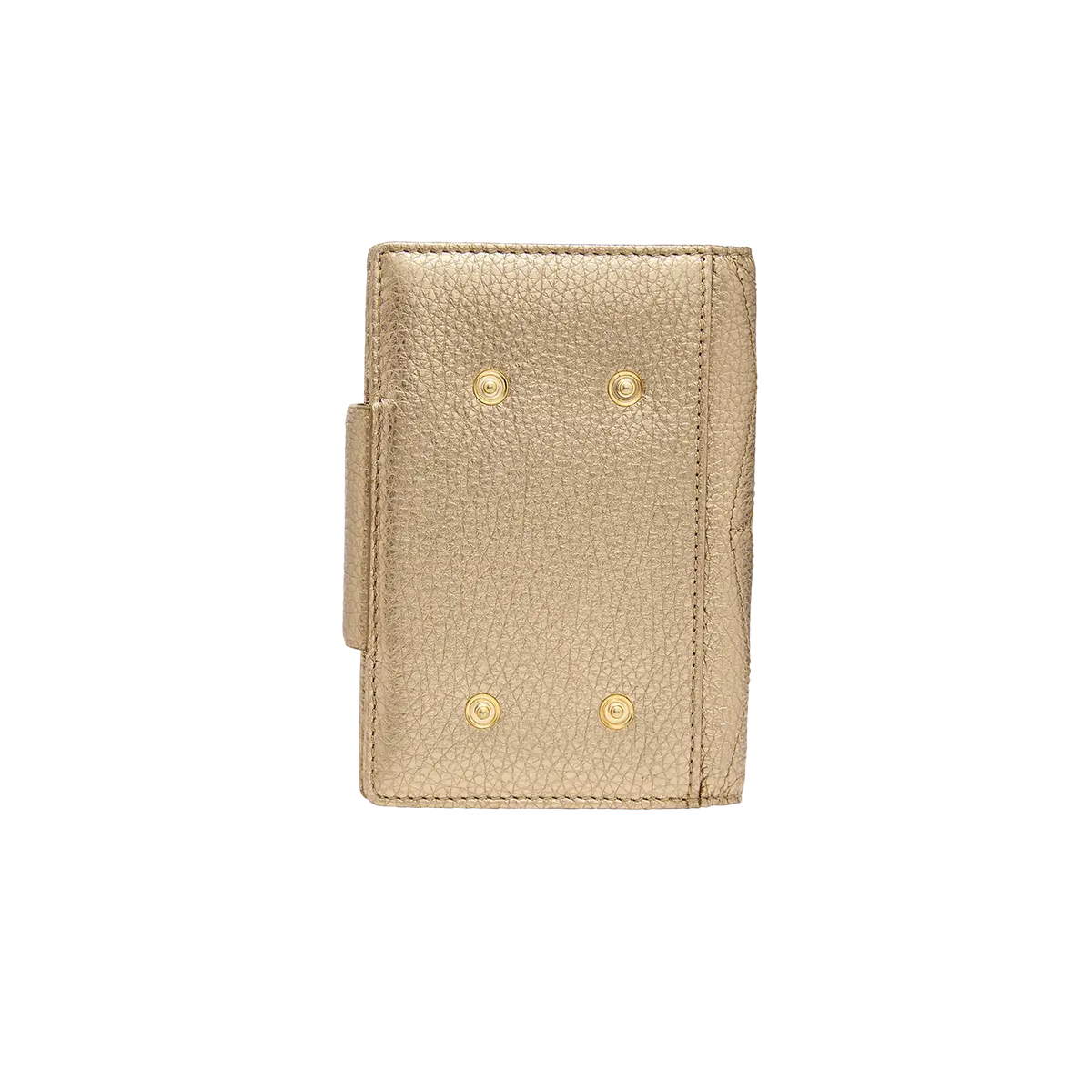 Passport Cover - Board me Baby - gold